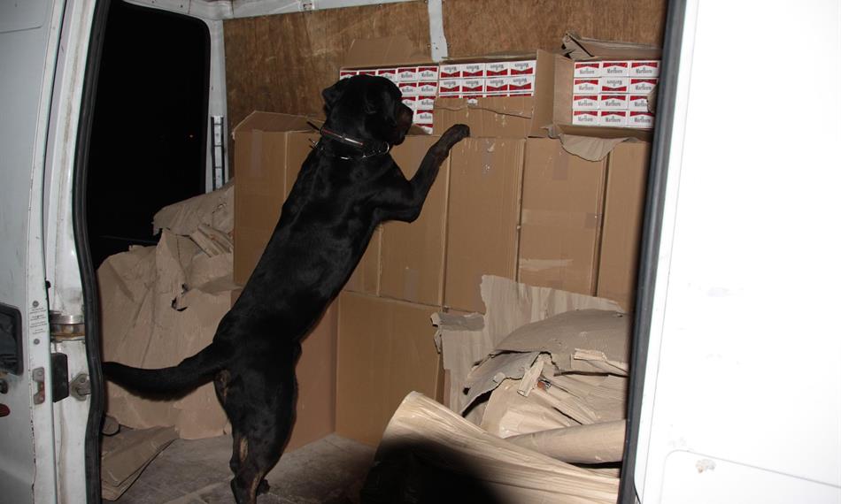 2010-11-4-1238cigarety PL 8.JPG